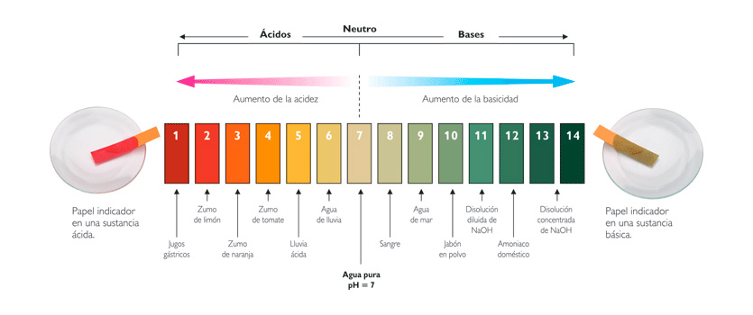 Escala del pH en los alimentos