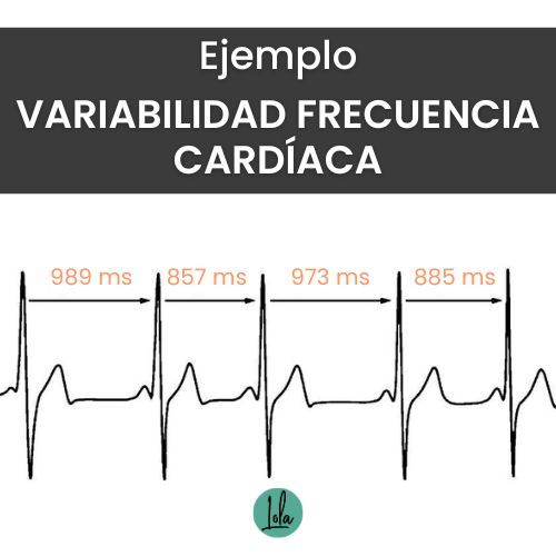 esquema variabilidad cardiaca