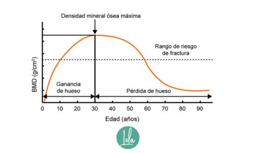 Gráfica de la evolución de la densidad ósea a lo largo de la edad