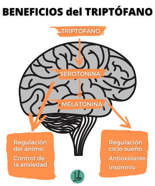 beneficios del triptofano