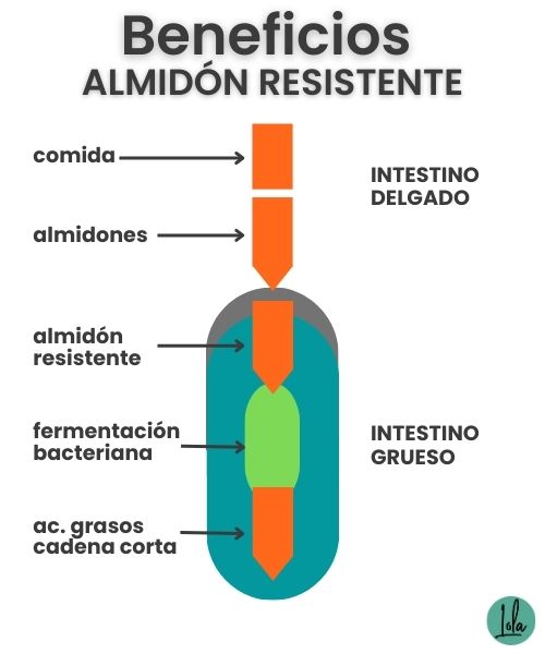 beneficios almidon resistente