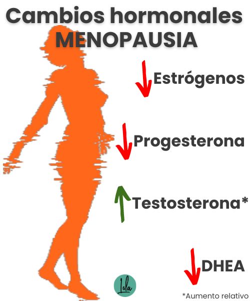 cambios hormonales menopausia