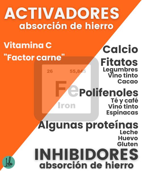 absorcion hierro