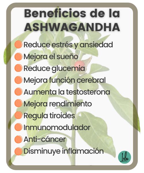 beneficios ashwagandha