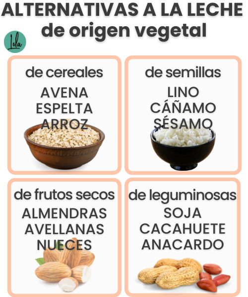 tipos leches vegetales