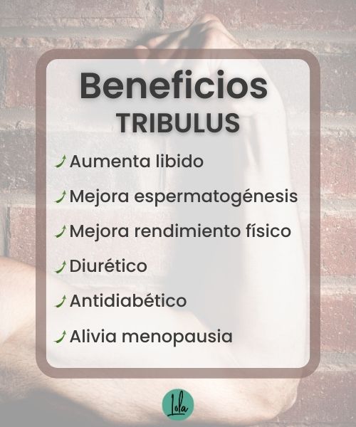 Beneficios del tribulus