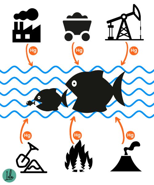 Niveles de mercurio en pescado