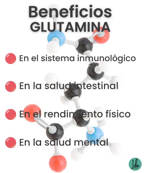 Glutamina para que sirve