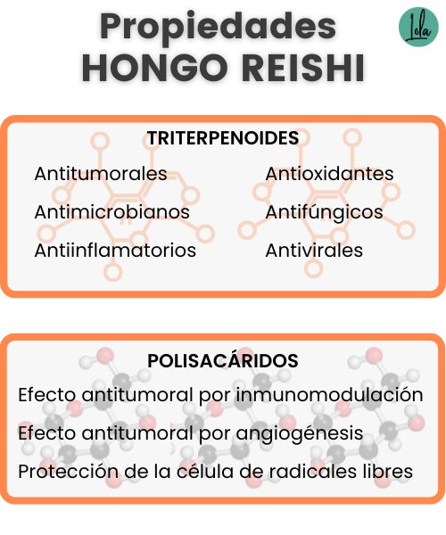 propiedades hongo reishi