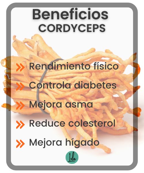 propiedades del cordyceps