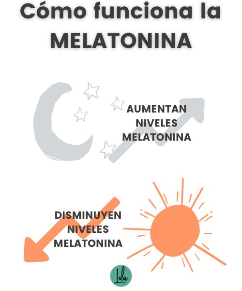 Funcionamiento melatonina