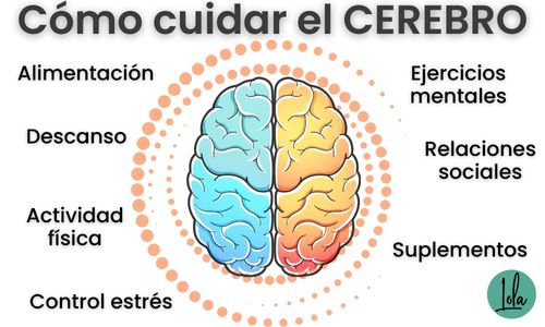 como cuidar el cerebro