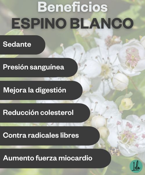 Beneficios espino blanco